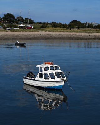 g12/20/2329920/3/173007797.petYhmCd.jpg