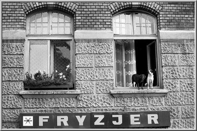 From the window,  Krakow