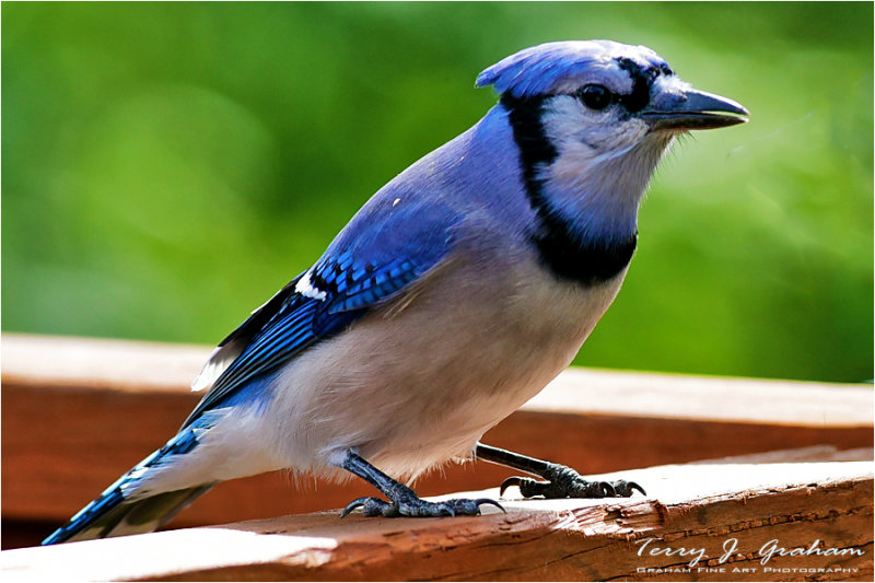 DSC_4731.jpg