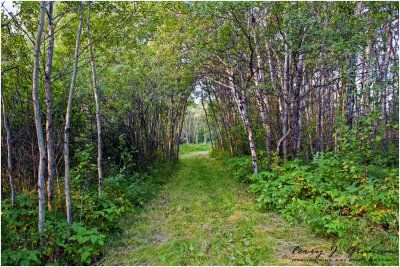 White Butte Walking Trail