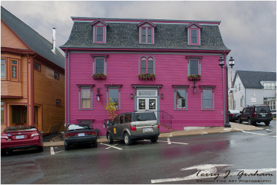 Pink House