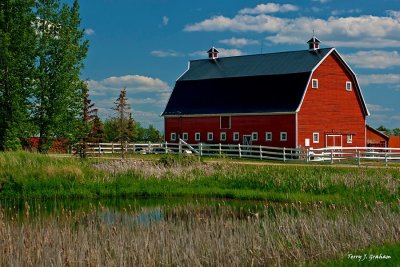 Red Barn in Summer