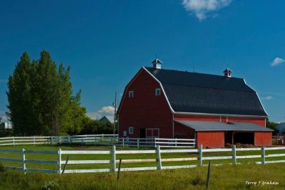 Red Barn in Summer