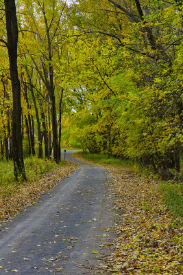 Lonely Walk