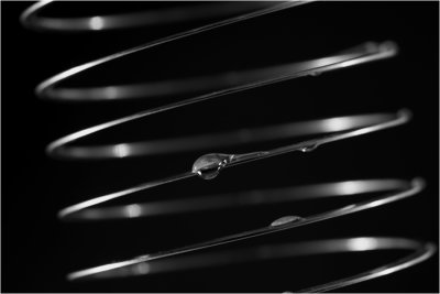 Slinky - DSC_1454