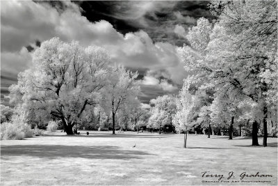 Park