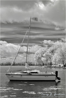 Moored Boat