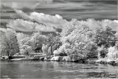 Shoreline