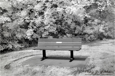 Bench