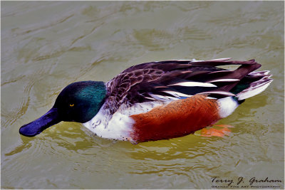 DSC_3665.jpg