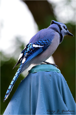 DSC_4497.jpg