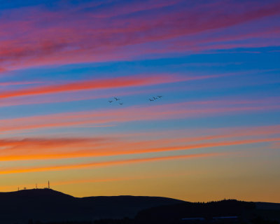 North over the Sidlaws