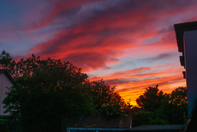 From the study window