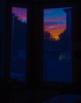 Through the blinds
