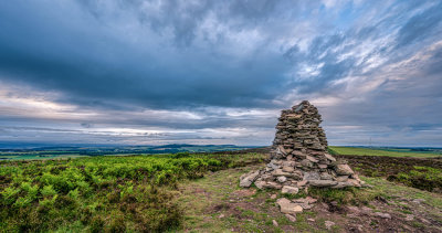 On Carrot Hill