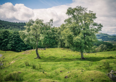 Braes of Foss