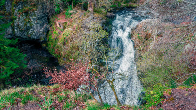 Reekie Linn