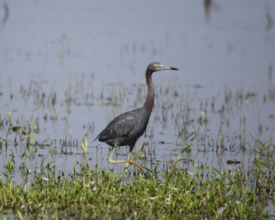 IMG_7640.JPG