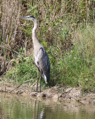 IMG_7692.JPG