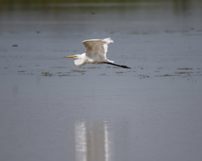 IMG_7702.JPG