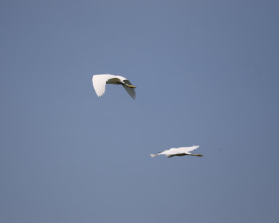 IMG_7718.JPG