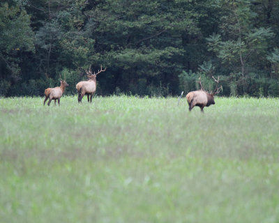 IMG_9024.JPG