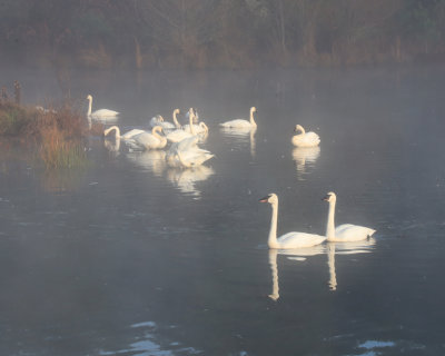 IMG_4749.JPG