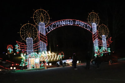 Enchanted Forest 12-22-2020