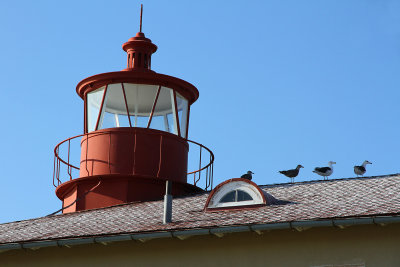 There was a seagull lookout on top of Point Lookout