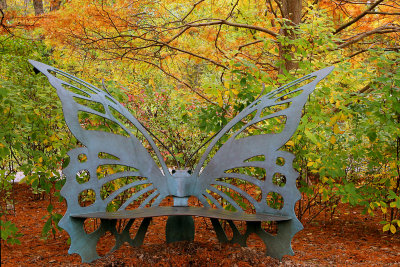 Butterfly bench #2