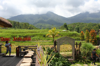 Had lunch at Gong Jatiuwih - food was OK, view was awesome!