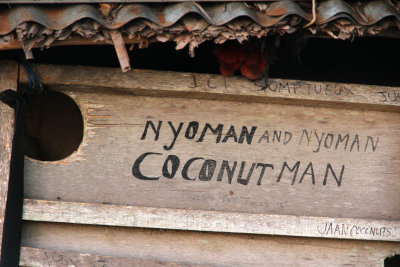 I was too early to buy a coconut from the Coconut Man but saw his shed