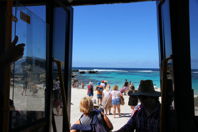 Took the hop on hop off Explorer Bus around the island. Lots of people got off at a beautiful beach. 