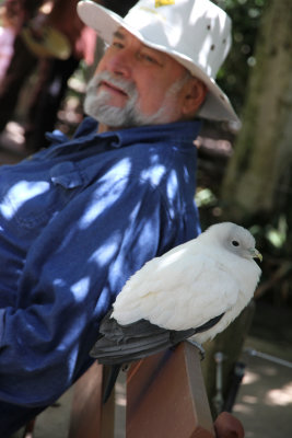 Howard sat down next to this pigeon. Pigeon was OK with that. 