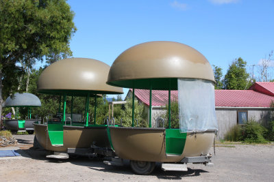 They'll take you for a tour in  their kiwi train!