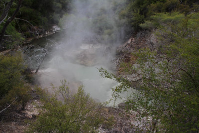 Drove to Wai-o-tapu thermal area past Rotorua.  Whole area around there is thermal. 