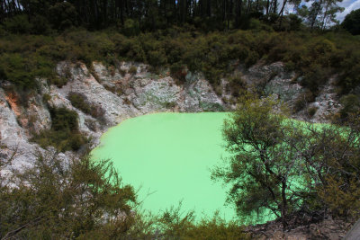 The big green pool