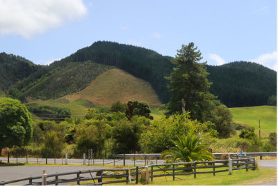 The landscape from Waiotapu to Rotorua was beautiful.