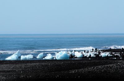 Passed Diamond Beach, with icebergs on the black sand beach