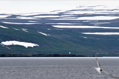 Saw (unanticipated) Aedey LH across the way from Vigur Island