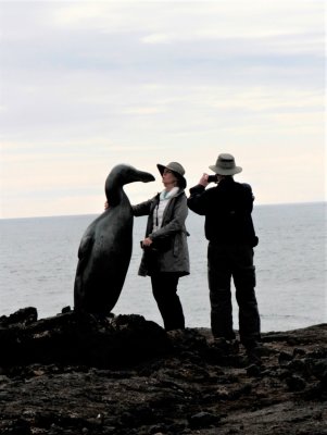 Talking to prehistoric Giant Auk at cliffs