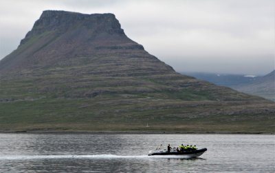 RIB boat goes by the flat mountain visible from Vigur