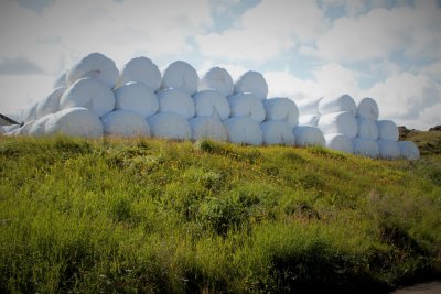 Bales of hay on hill