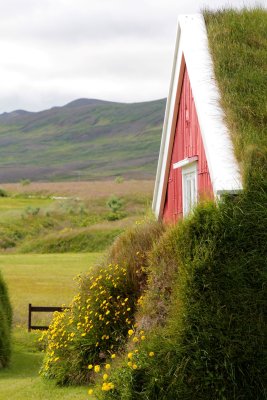 Turf house & flowers