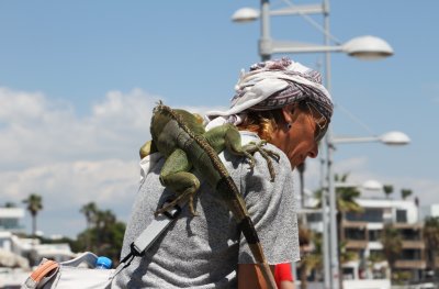She put it on her back & walked down the boardwalk
