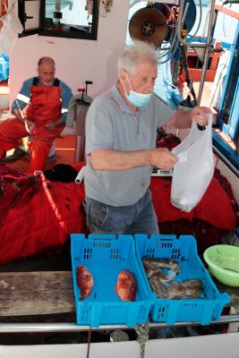 Selling fish off boats near fish market