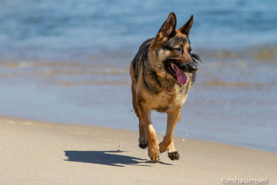 Diva On The Beach at Asbury Park 148394