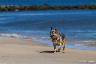 Diva On The Beach at Asbury Park 148455