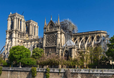 Notre Dame 1491057