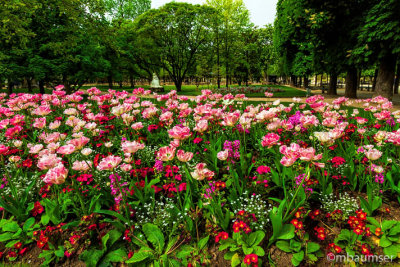 Jardin du Luxembourg 150783